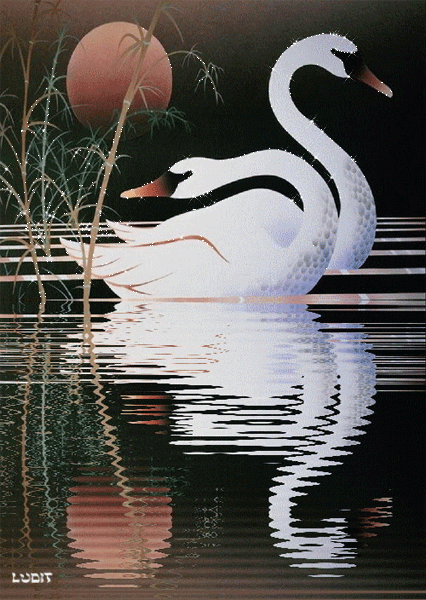 9825477.gif (426×600)