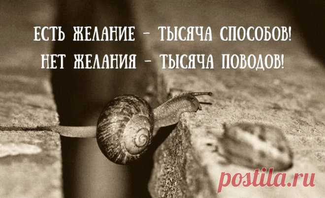 Открытка дня – Фитнес для мозга