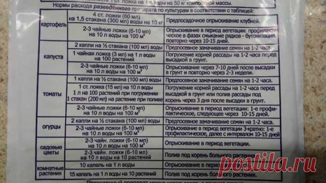 Чтобы «Фитоспорин» «заработал», его надо правильно приготовить.