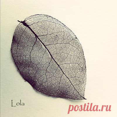 Скелетированные листики + чернила | Своими руками