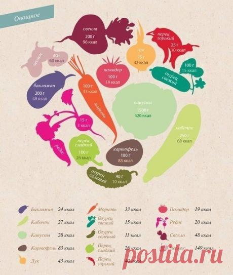 Блог сайта «Будь в форме!»