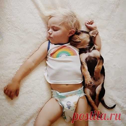 Самое интересное в мире: Растут... - natali5357@mail.ru - Почта Mail.Ru
