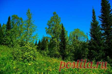 ФОТОМАСТЕРСКАЯ ПРИРОДЫ
Панов Александр