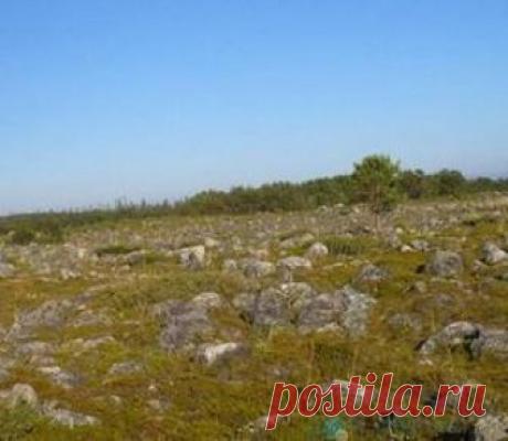 Как появляются камни на земельном участке? - DomOtvetov.ru Спустя некоторое время на поверхности вспаханной земли вновь появляются камни. Вопрос, откуда они берутся, интересует многих, а ученые считают, что все это подчинено обычным законам физики.