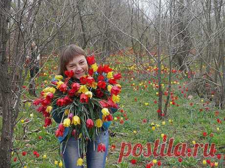 (94) Одноклассники