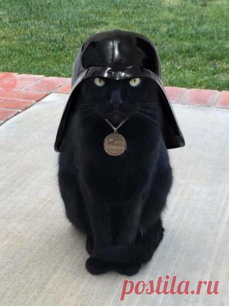 Дарт Котейдер