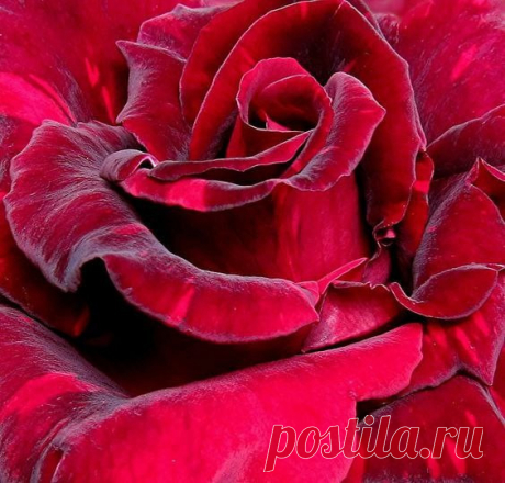 Все оттенки &gt;