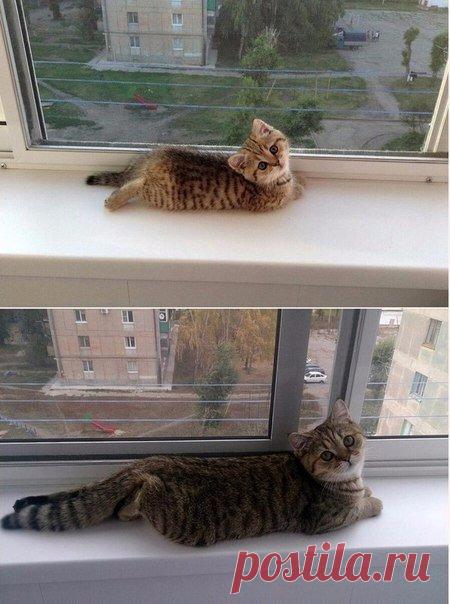 Время идёт, а привычки остаются... | Позитив