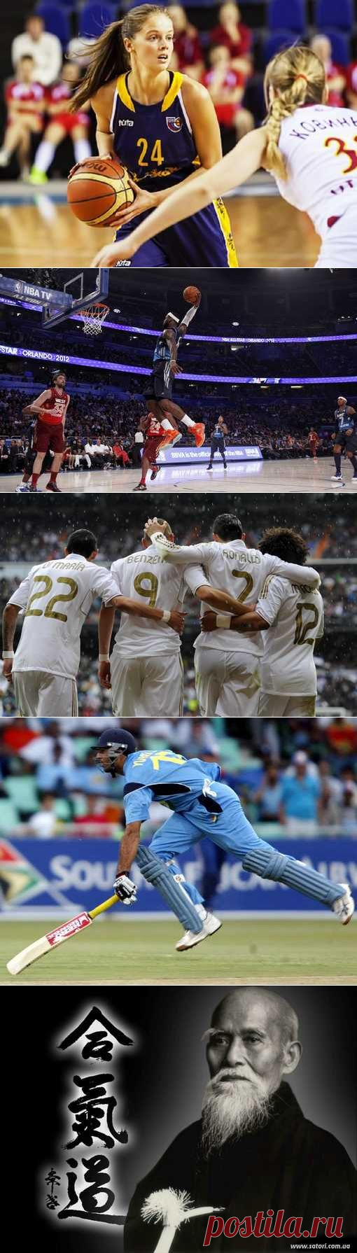 Хоккей на траве, Покер спортивный, Стрельба из лука, Виндсерфинг. (1/1) - Спортивный форум. - Спортивный сайт