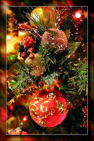 Фото – Google+
