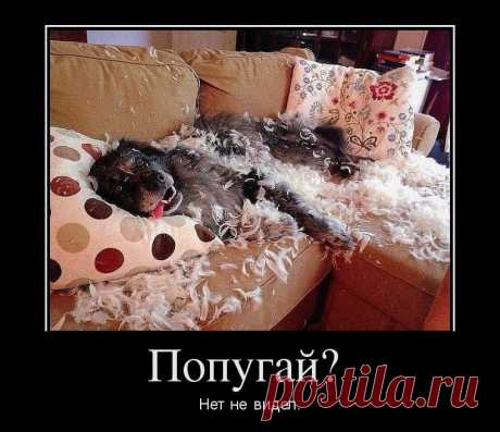 Всё понятно. Демотиваторы