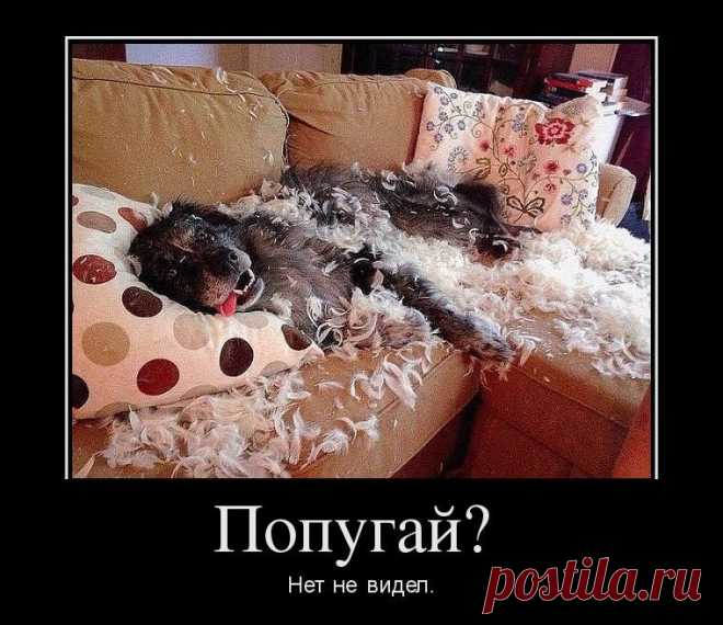 Всё понятно. Демотиваторы