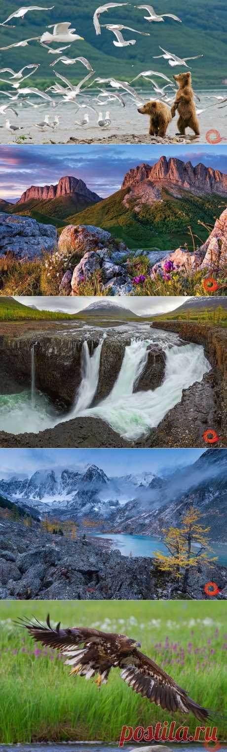 Лучшие фотографии России | ФОТО НОВОСТИ