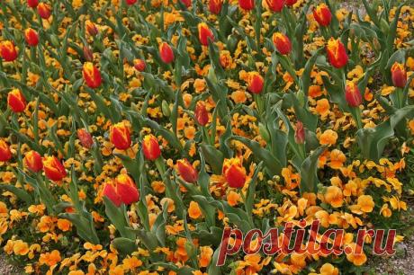 Заходите, гостем будете!