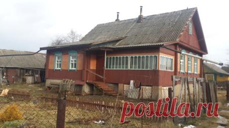 Веселая альпака