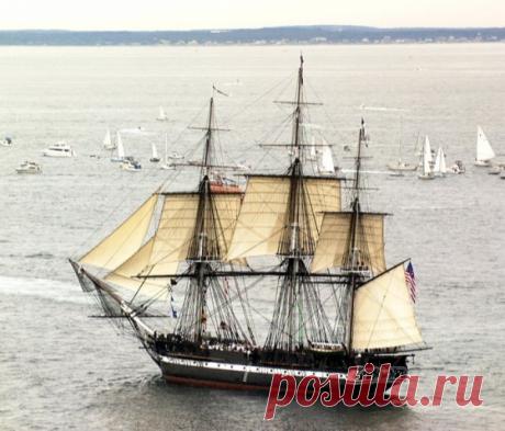 Паруса, ветер и свобода!