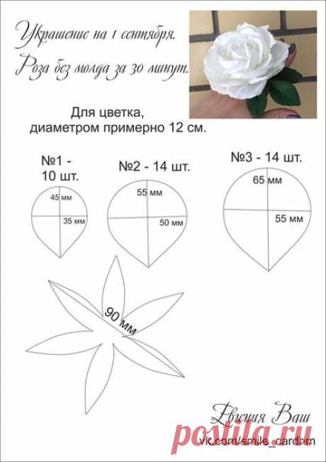 (2101) Pinterest
