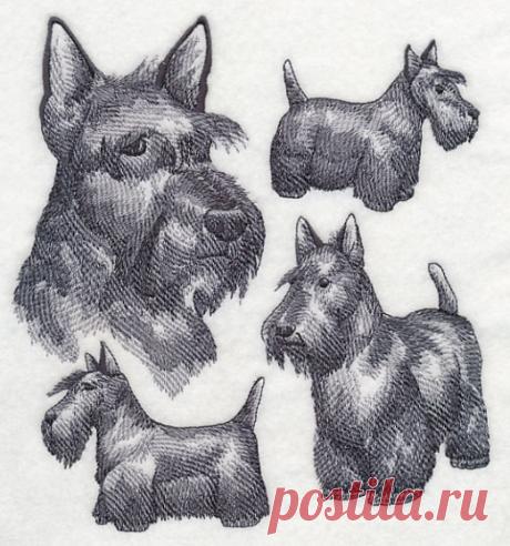 Machine Embroidery Designs at Embroidery Library! - Embroidery Library