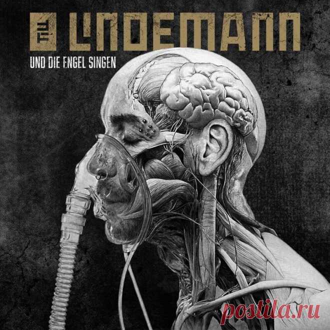 Till Lindemann - Und die Engel singen (Alas Caidas Remix by Hocico) (2025) 320kbps / FLAC