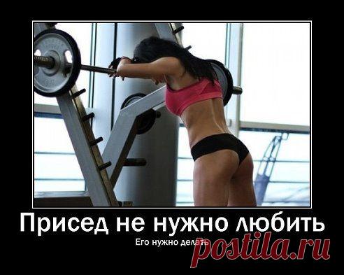 Приседай правильно !