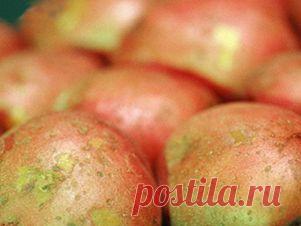 19 народных средств от язвы желудка и двенадцатиперстной кишки.