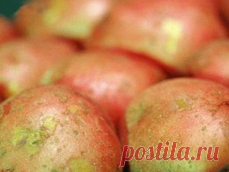 19 народных средств от язвы желудка и двенадцатиперстной кишки.