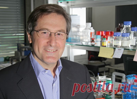 Метформин в сочетании с препаратом от давления подавляет рост раковых клеток Комбинация средства от сахарного диабета и препарата от повышенного артериального давления оказалась эффективна в борьбе с раковыми клетками. Группа исследователей под руководством профессора Майкла Холла (Michael Hall) из Центра молекулярной биологии Biozentrum (Center for Molecular Life Sciences Biozentrum) Базельского университета (нем. Universität Basel) сообщила, что определённые раковые клет...