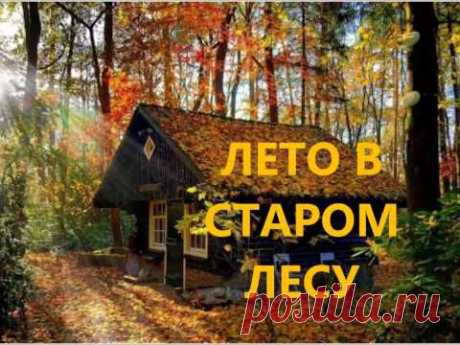Birds Singing &amp; Cuckoo / Пение Птиц, Голос Кукушки и Других Обитателей Леса
