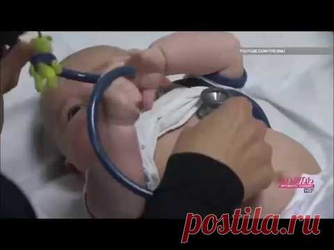 Пробиотики и пребиотики - список препаратов, отличия, эффекты, показания к применению