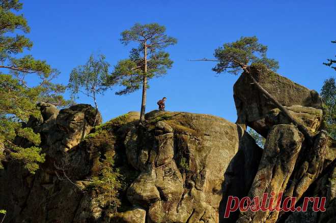 Яндекс.Фотки