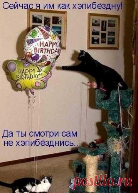Мысли вслух