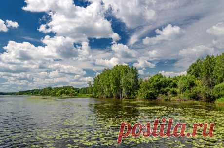 Яндекс.Фотки