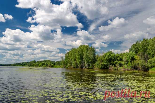 Яндекс.Фотки