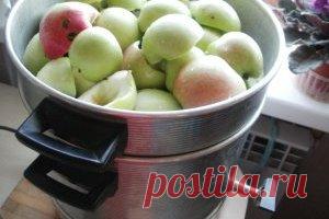 Заготовки из яблок на зиму