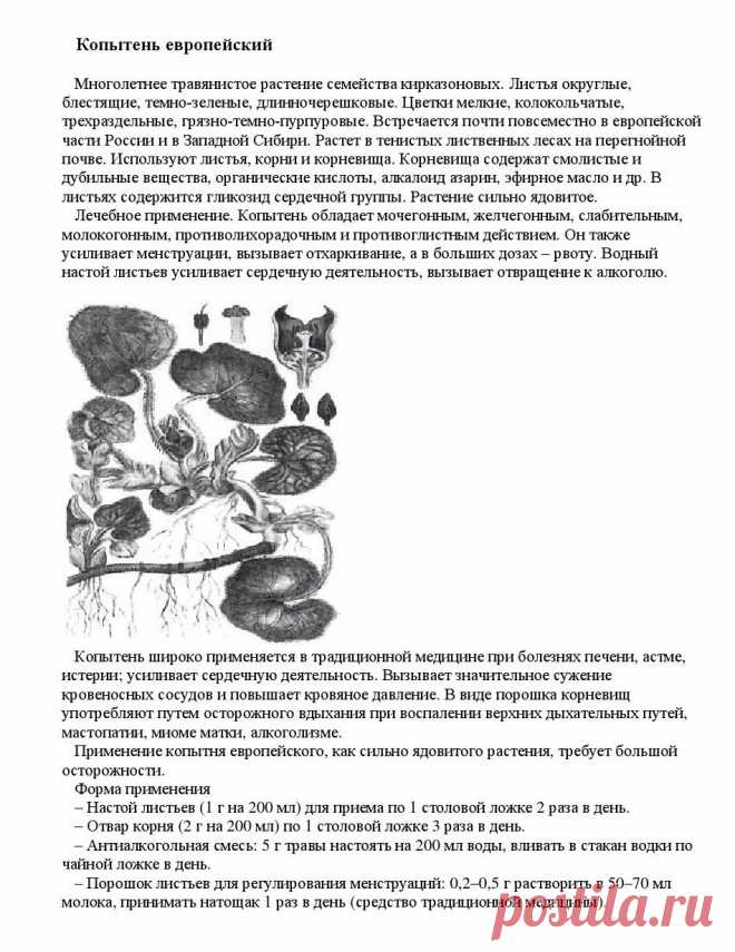 Копытень европейский.
«Уникальные лечебные свойства сорняков»  Корсун В.Ф., Викторов В.К.