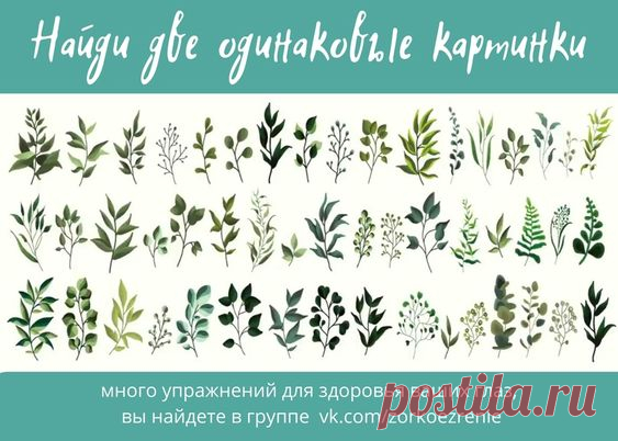 ВОССТАНОВИТЬ ЗОРКОЕ ЗРЕНИЕ С ЕВГЕНИЕМ СЛОГОДСКИМ