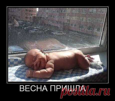 Одноклассники