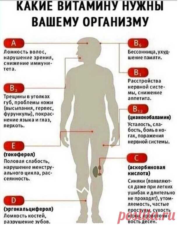 Определяем, каких витамины вам нужны!