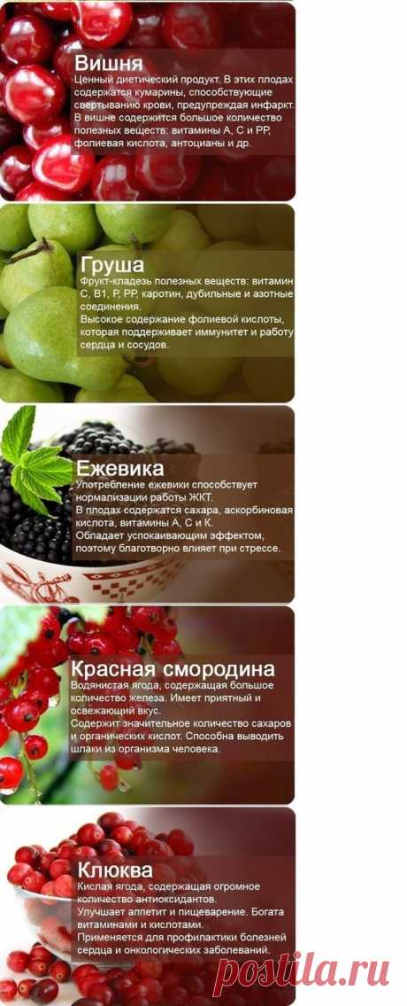 О пользе фруктов и ягод | Я ЗДОРОВ!
