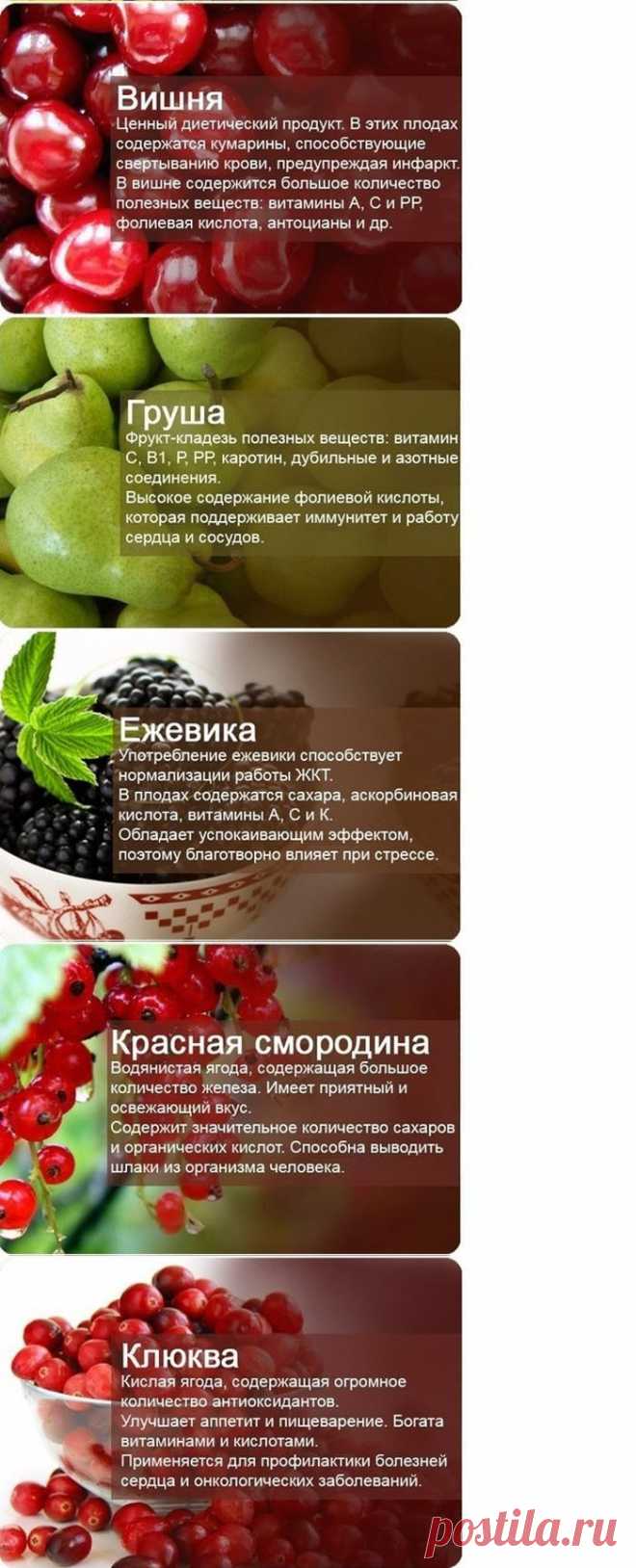 О пользе фруктов и ягод | Я ЗДОРОВ!