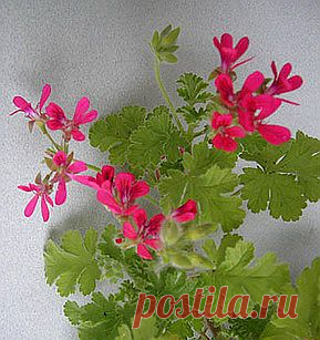 Не по назначению, но с пользой