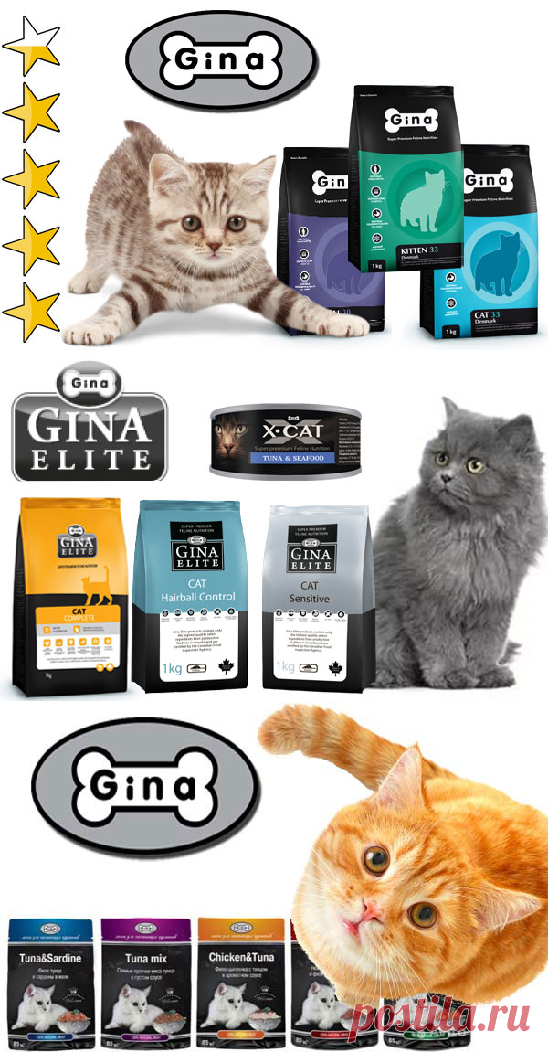 Обзор корма для кошек Джина (Gina): виды, состав, отзывы