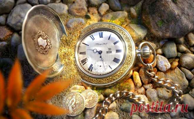 Самое ценное. Притча &raquo; Женский Мир