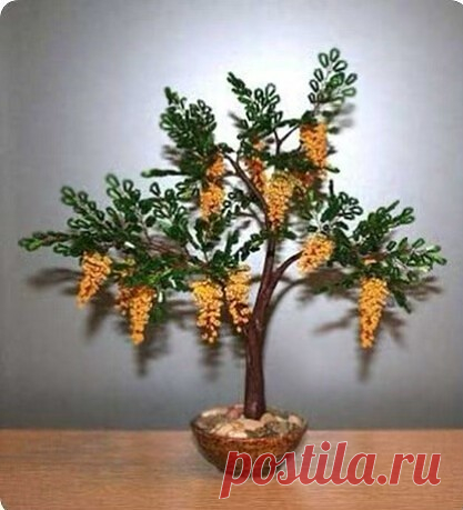 Очаровательное растение