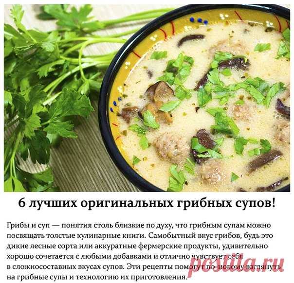 6 лучших оригинальных грибных супов!

Грибы и суп — понятия столь близкие по духу, что грибным супам можно посвящать толстые кулинарные книги. Самобытный вкус грибов, будь это дикие лесные сорта или аккуратные фермерские продукты, удивительно хорошо сочетается с любыми добавками и отлично чувствует себя в сложносоставных вкусах супов. Эти рецепты помогут по-новому взглянуть на грибные супы и технологию их приготовления.