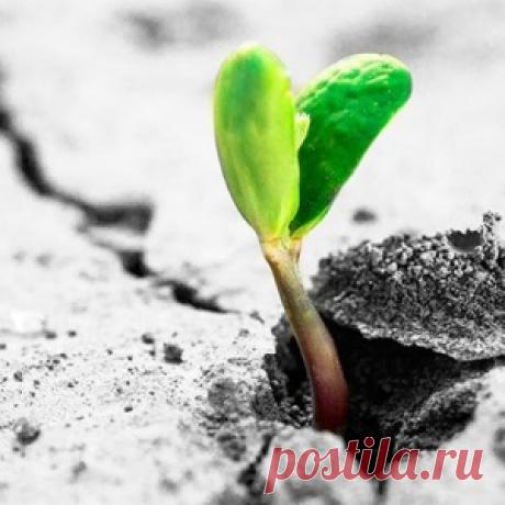 КАК ОБРЕСТИ ЛИЧНУЮ СИЛУ.... - МирТесен