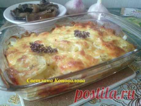 Запеканка из молодого картофеля #чемпионатмира #россия Автор рецепта Светлана Коновалова - Cookpad