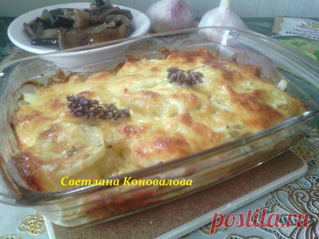 Запеканка из молодого картофеля #чемпионатмира #россия Автор рецепта Светлана Коновалова - Cookpad