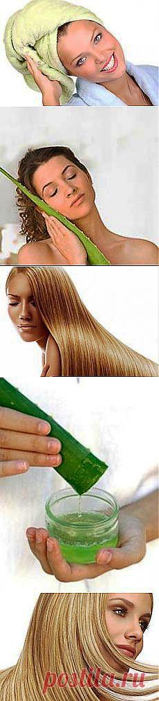 Поиск картинок