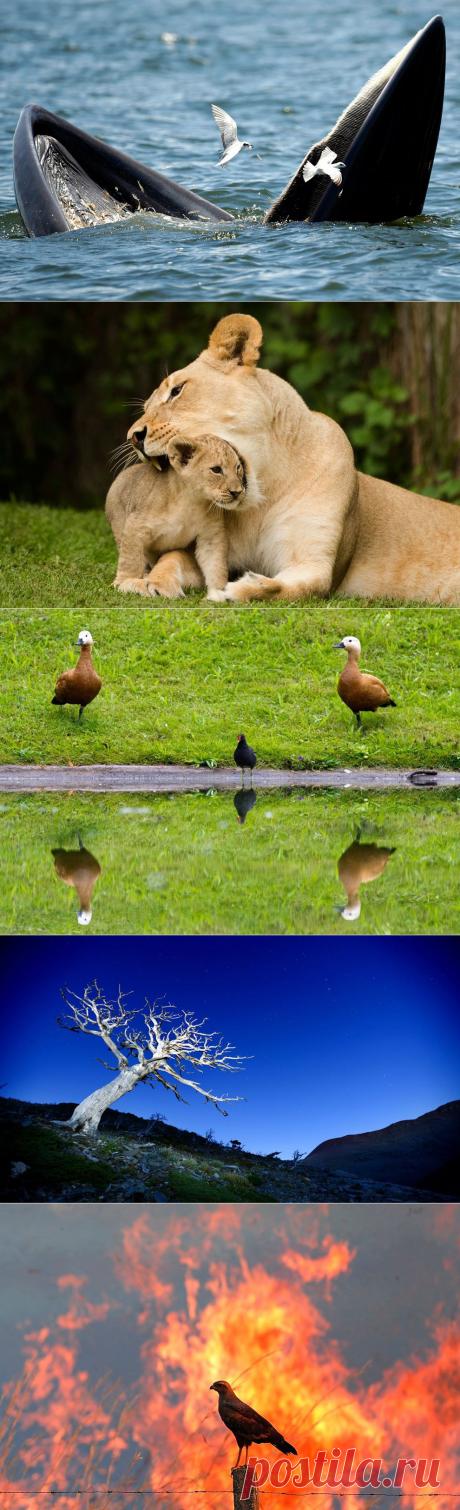 Мир глазами фотографов